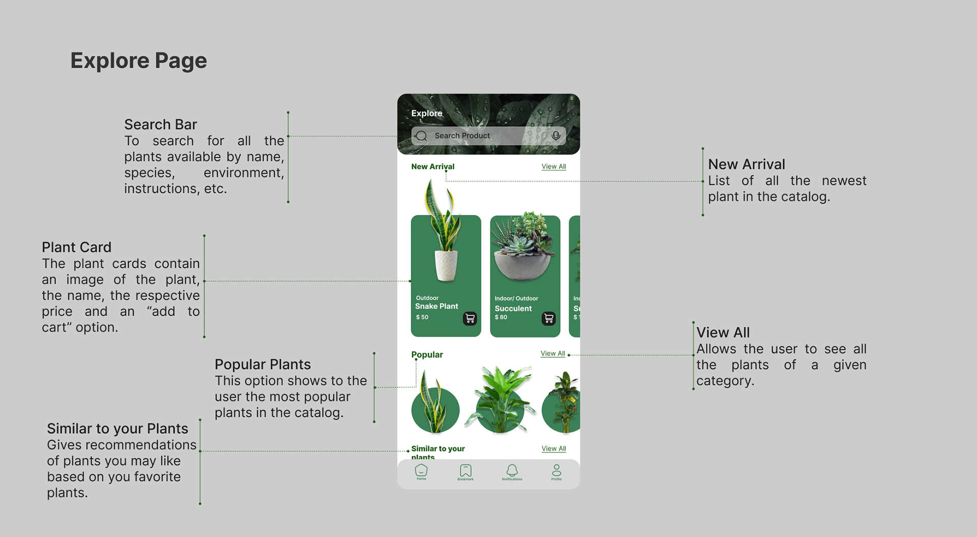 PlantPal explore page with new arrivals, popular plants, and recommendations